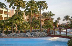 отель Тиа Хайтс, бассейн, Макади Бей, Египет
