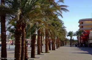 Hurgada, пальмы, курорт, Арабская Республика Египет