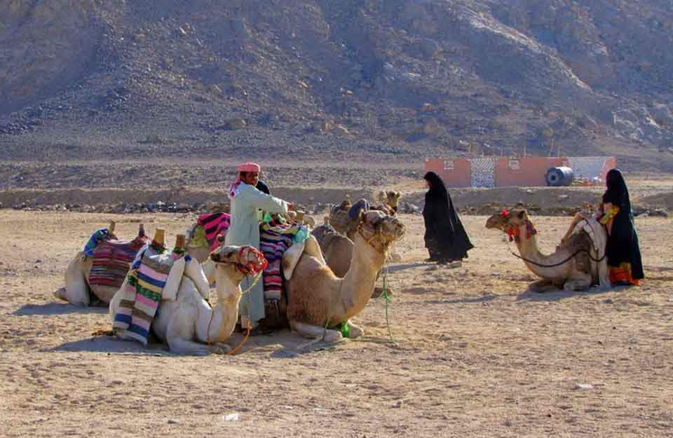 обстановка в Египте, бедуины