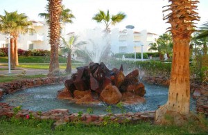 Dreams Beach Resort 5, сервис, отзыв об отеле, описание, территория отеля, пальмы
